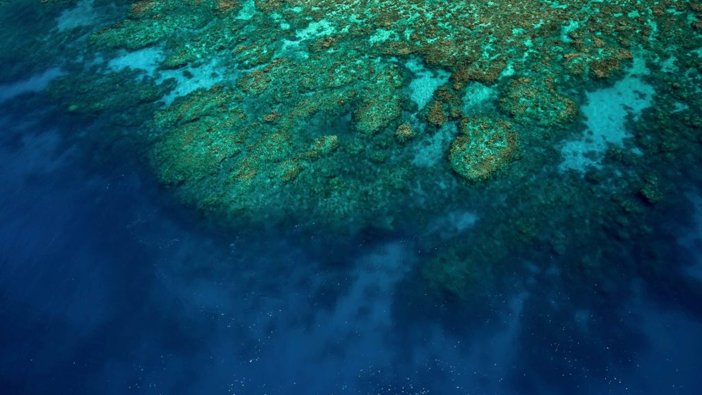 Great Barrier Reef