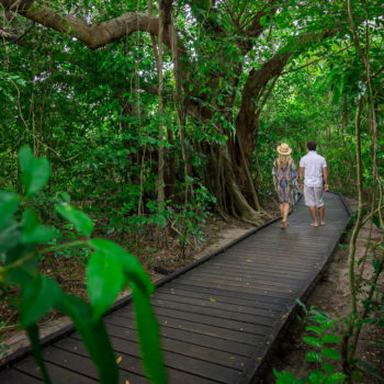 Green Island, Great Barrier Reef, Eco Walk