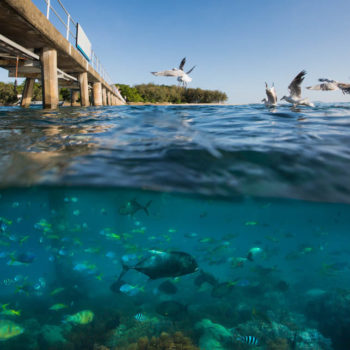 Green Island, Great Barrier Reef