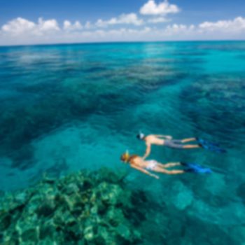 Great Barrier Reef Snorkel