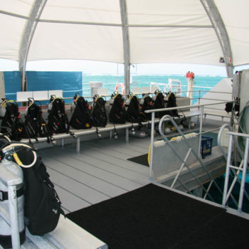 Great Adventures Reef activity platform