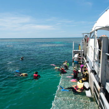 Great Adventures Reef activity platform