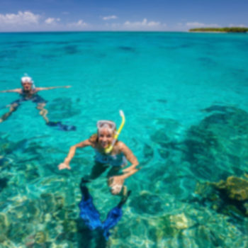 Snorkel Tours Green Island