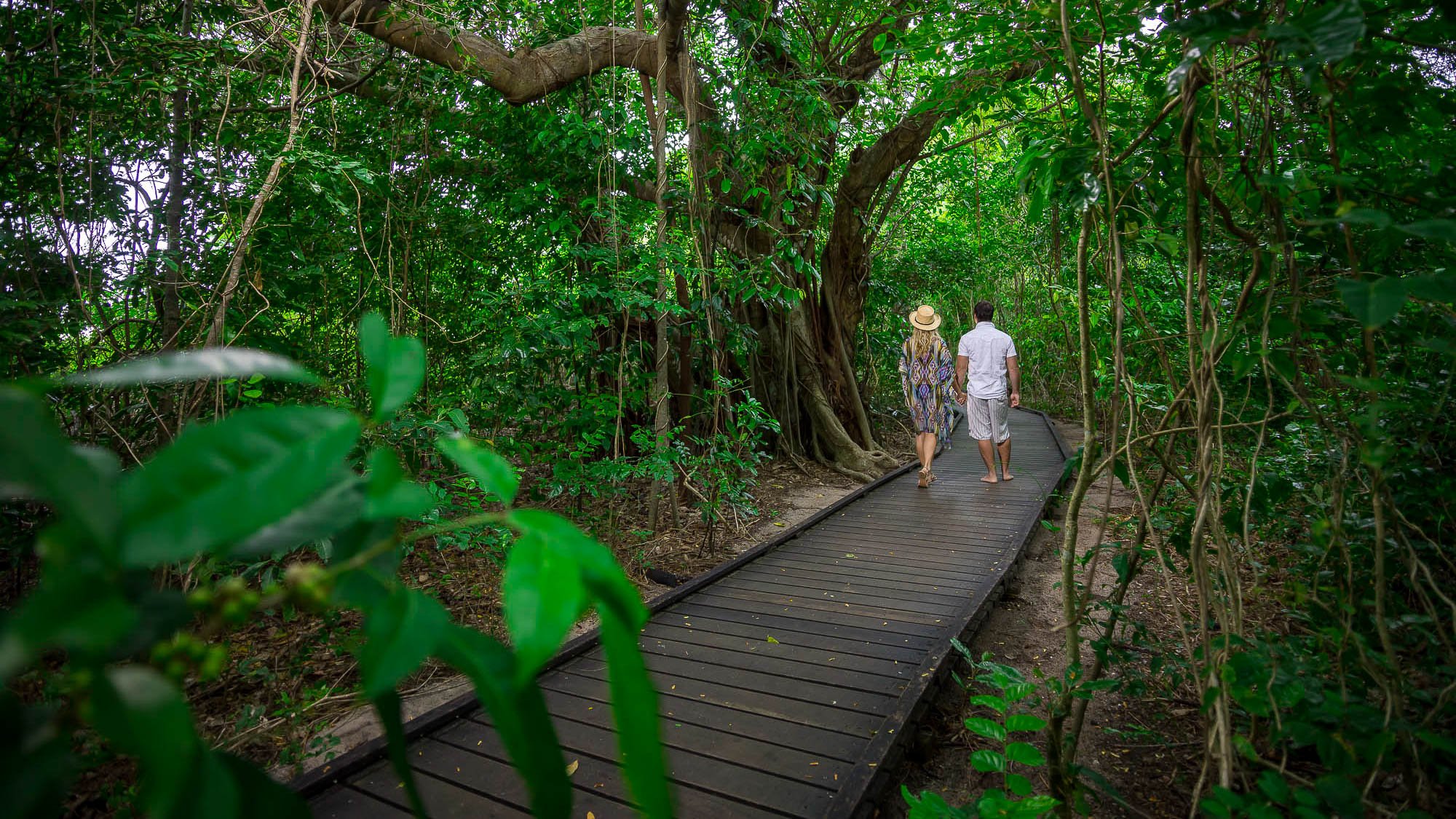 Eco Walk on Green Island