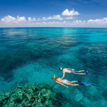 Snorkelling on the Great Barrier Reef