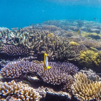 Great Barrier Reef