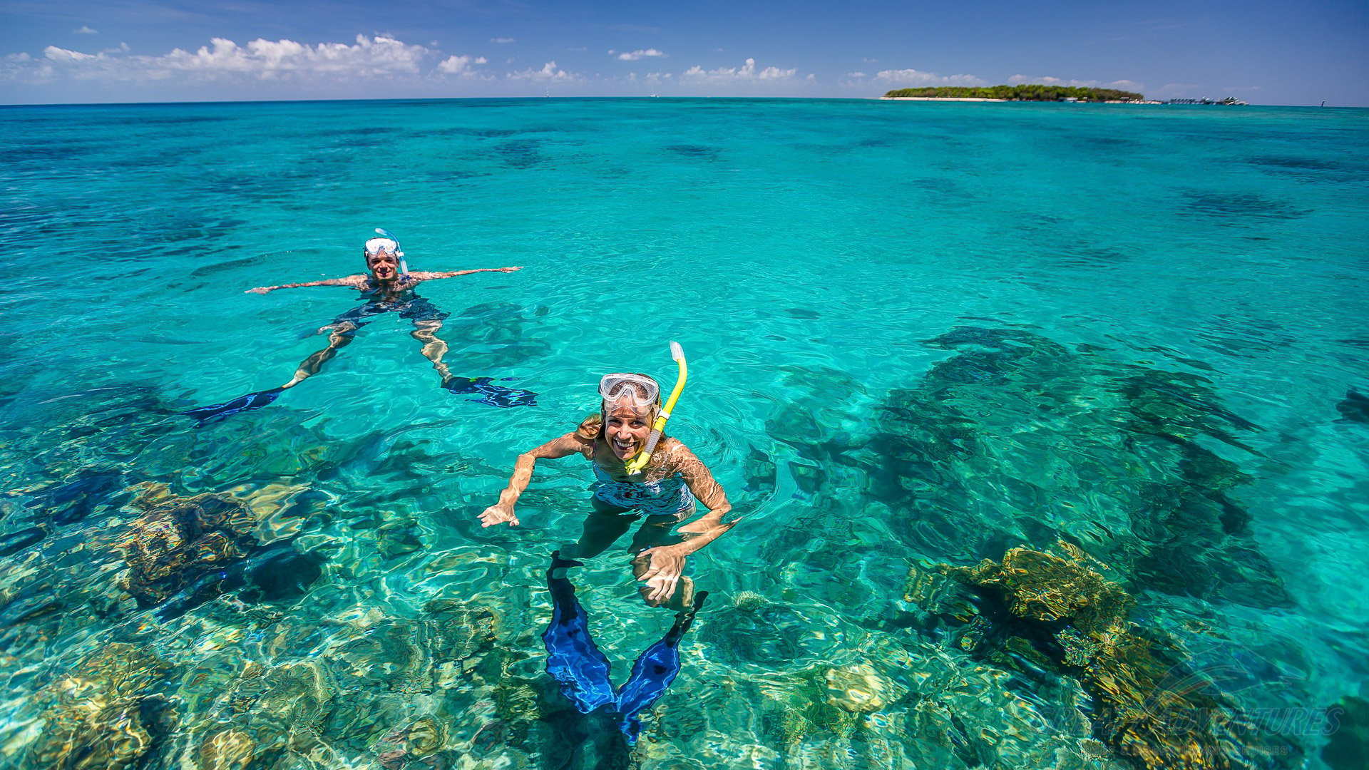 Green Island Snorkel