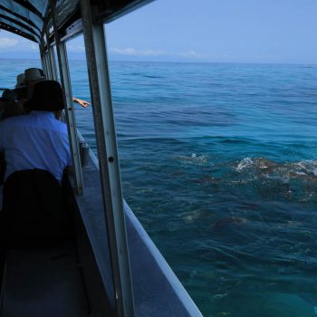 Green Island Glass Bottom Boat