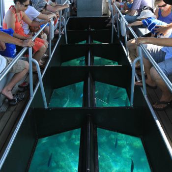 Green Island Glass Bottom Boat