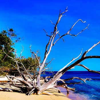 Green Island Beach