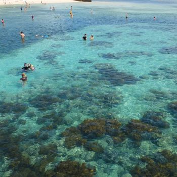 Green Island Swimming