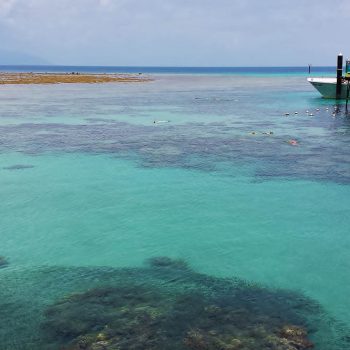 Green Island Snorkel