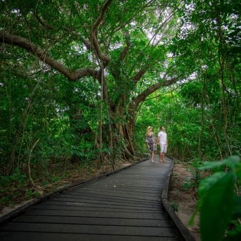 Green Island Eco Tour