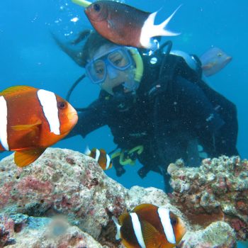 Great Barrier Reef tour