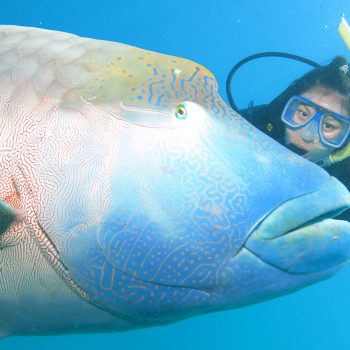 Great Barrier Reef tour