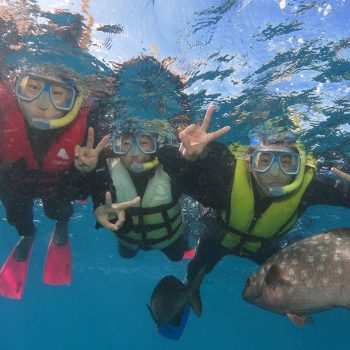 Great Barrier Reef tour