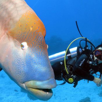 Great Barrier Reef tour