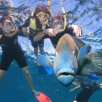 Great Barrier Reef tour