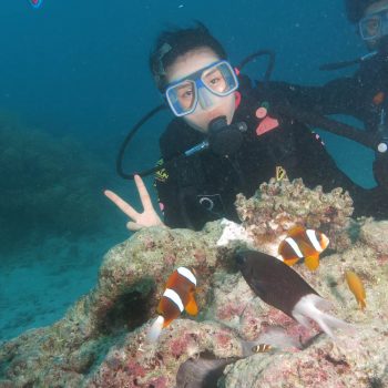 Great Barrier Reef Diving