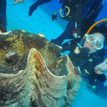 Green Island Marine life