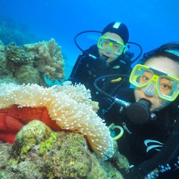 Green Island Introductory Diving