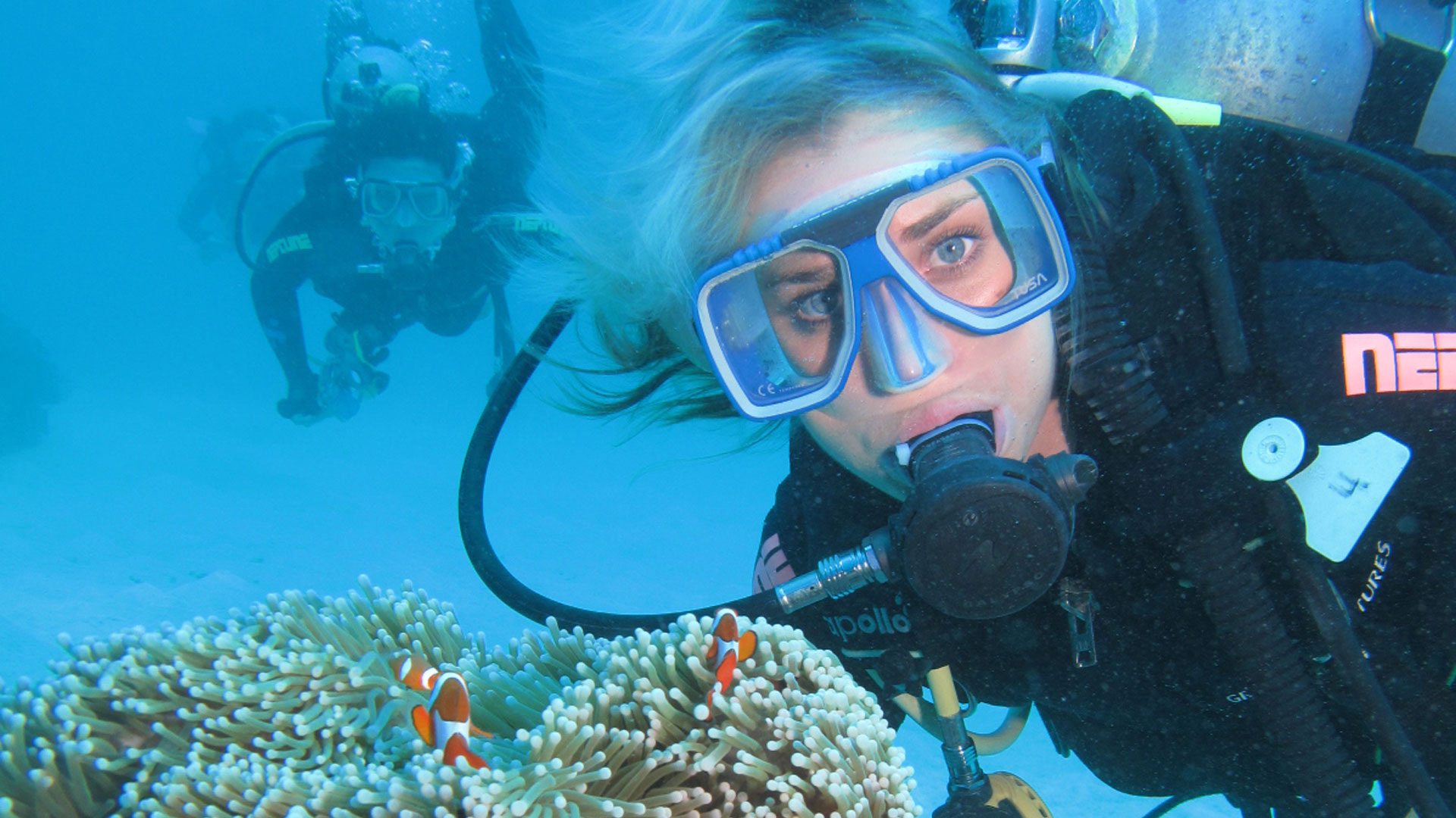 Great Barrier Reef Scuba Diving