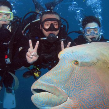 Diving on the Great Barrier Reef