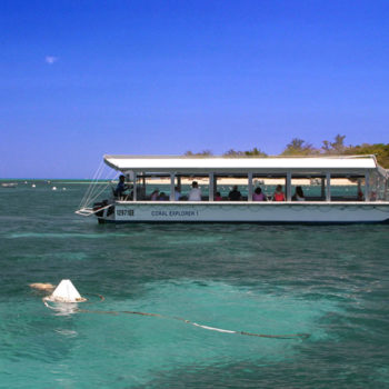 Glass Bottom Boat Green Island