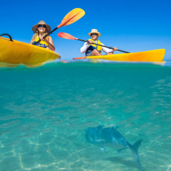 Green Island Kayaking