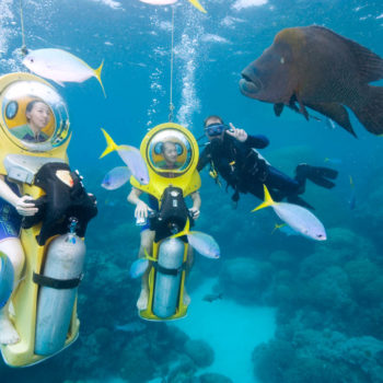 Scuba Doo Outer Great Barrier Reef