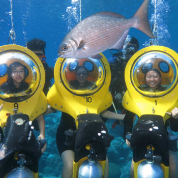 Scuba Doo Outer Great Barrier Reef