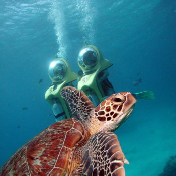 Scuba Doo Outer Great Barrier Reef