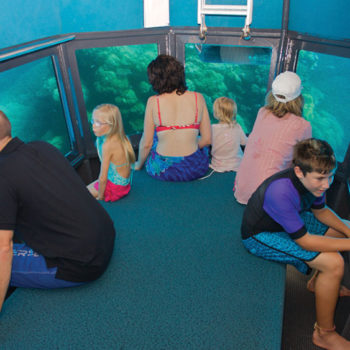 Great Barrier Reef Coral Viewing Tour