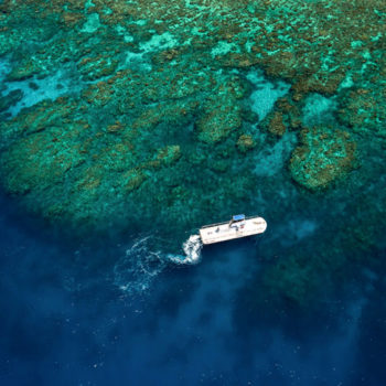 Outer Reef Coral Viewing